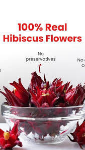 Karkade / Hibiscus Organic Iced Tea